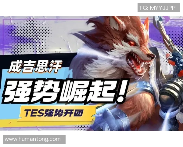 王者荣耀焦点：TES的灵活性探讨